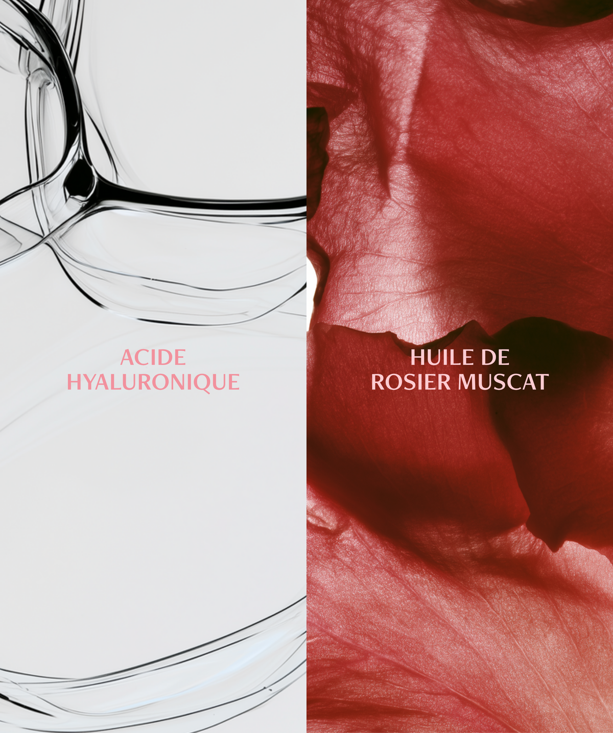 Duo Eau Extraordinaire
